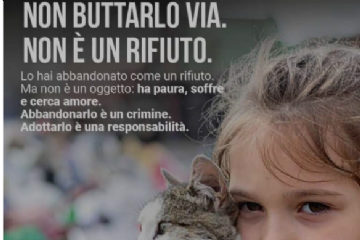 4-5 Luglio - Giornata Nazionale contro l'abbandono degli animali